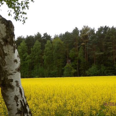 291907ab E1be 4949 A8c6 E68b37b67841.1