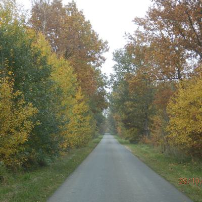 B8a4d584 8838 4123 8c43 032c26aa462d.1